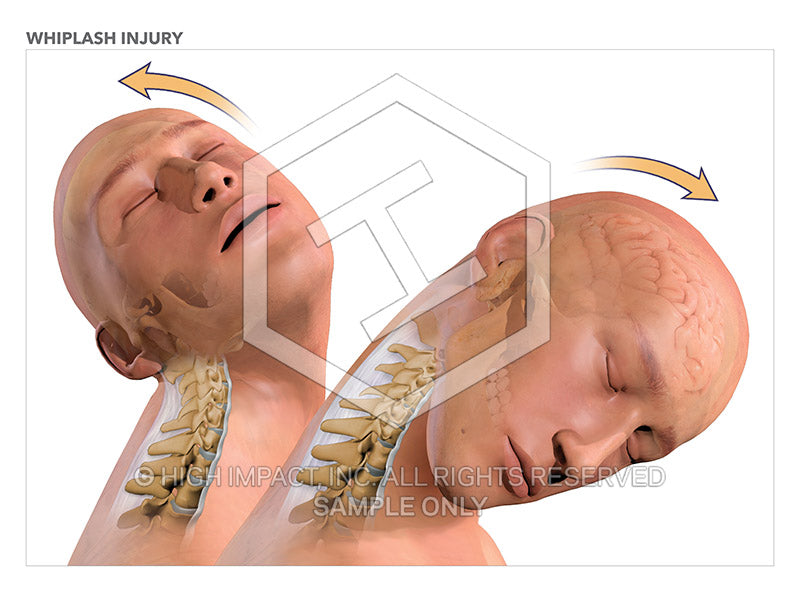 https://www.trialguides.com/cdn/shop/products/08469_lowRes.jpg?v=1673296361&width=800